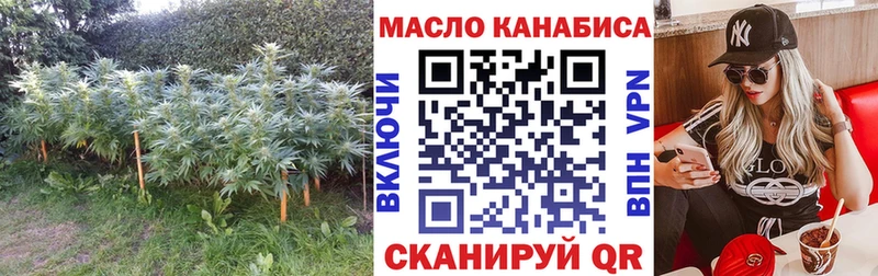 Дистиллят ТГК концентрат  МЕГА зеркало  Кола  где купить наркоту 